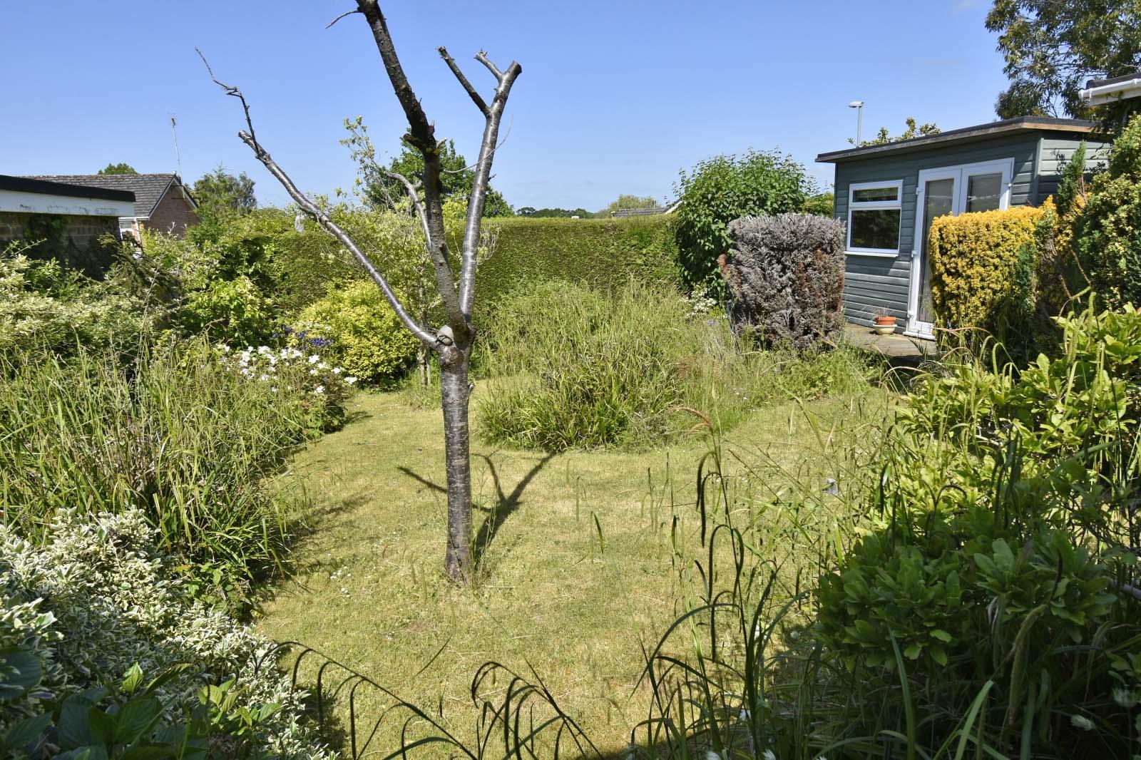 A GARDEN.JPG